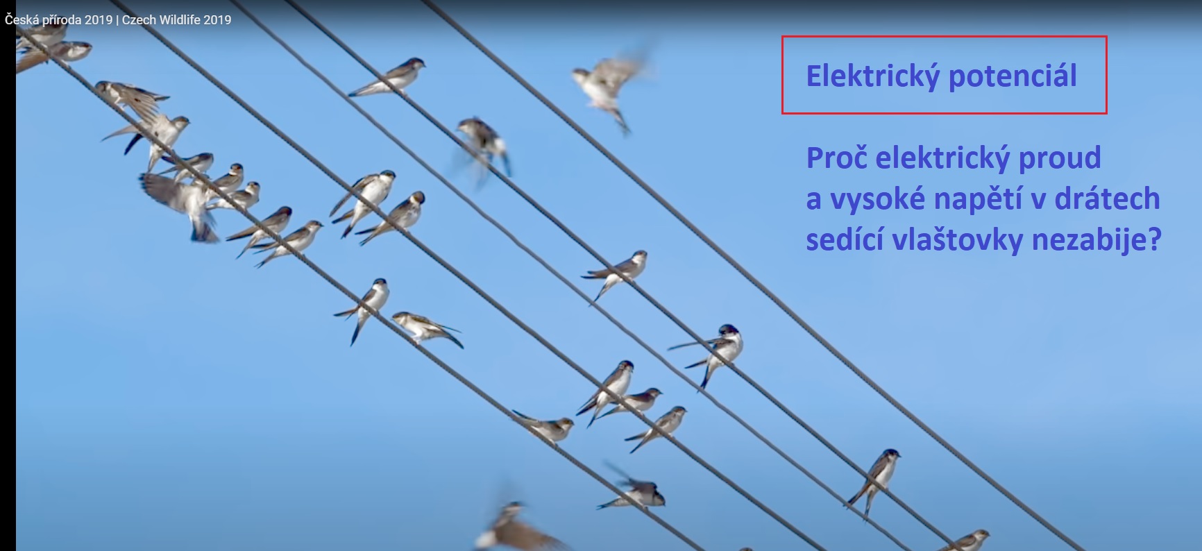 úkol_elektrický poenciál