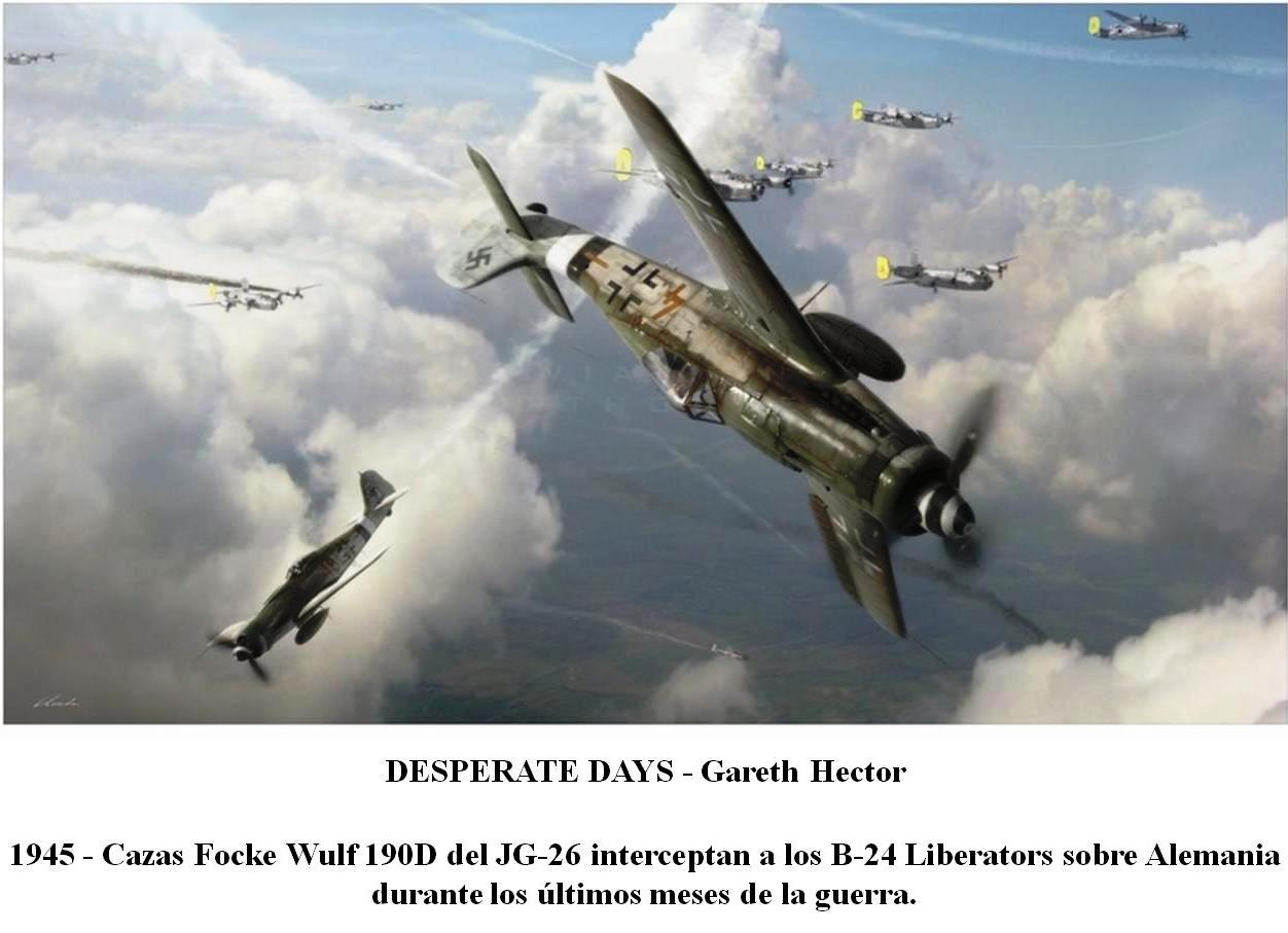 Focke Wulf FW-190 and B24 Liberator