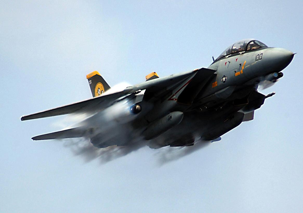 F-14 Tomcat