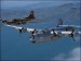 B-17_a_B-24_Liberator.JPG