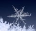 krystal sněhu - vločka