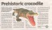 (156)Krokodýl.jpg