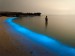 bioluminiscence planktonu